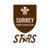 Team logo