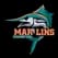 Marlins Flag