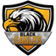 AZ Black Eagles Flag